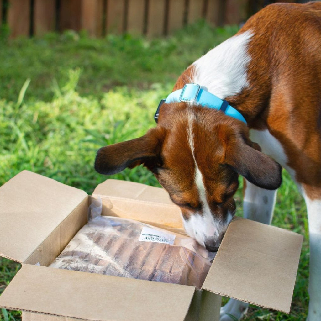 My dog eats cheap frozen poop