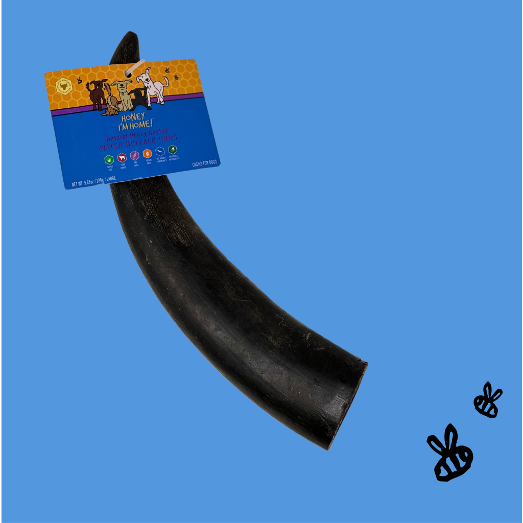 Honey I'm Home Large 100% Water Buffalo Horn Core Chew Treat for Dogs, 1-count image number null