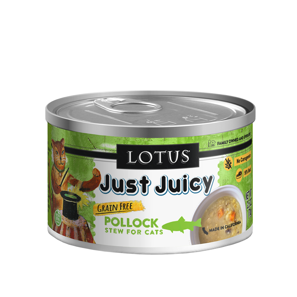 Just Juicy Pollock Stew image number null