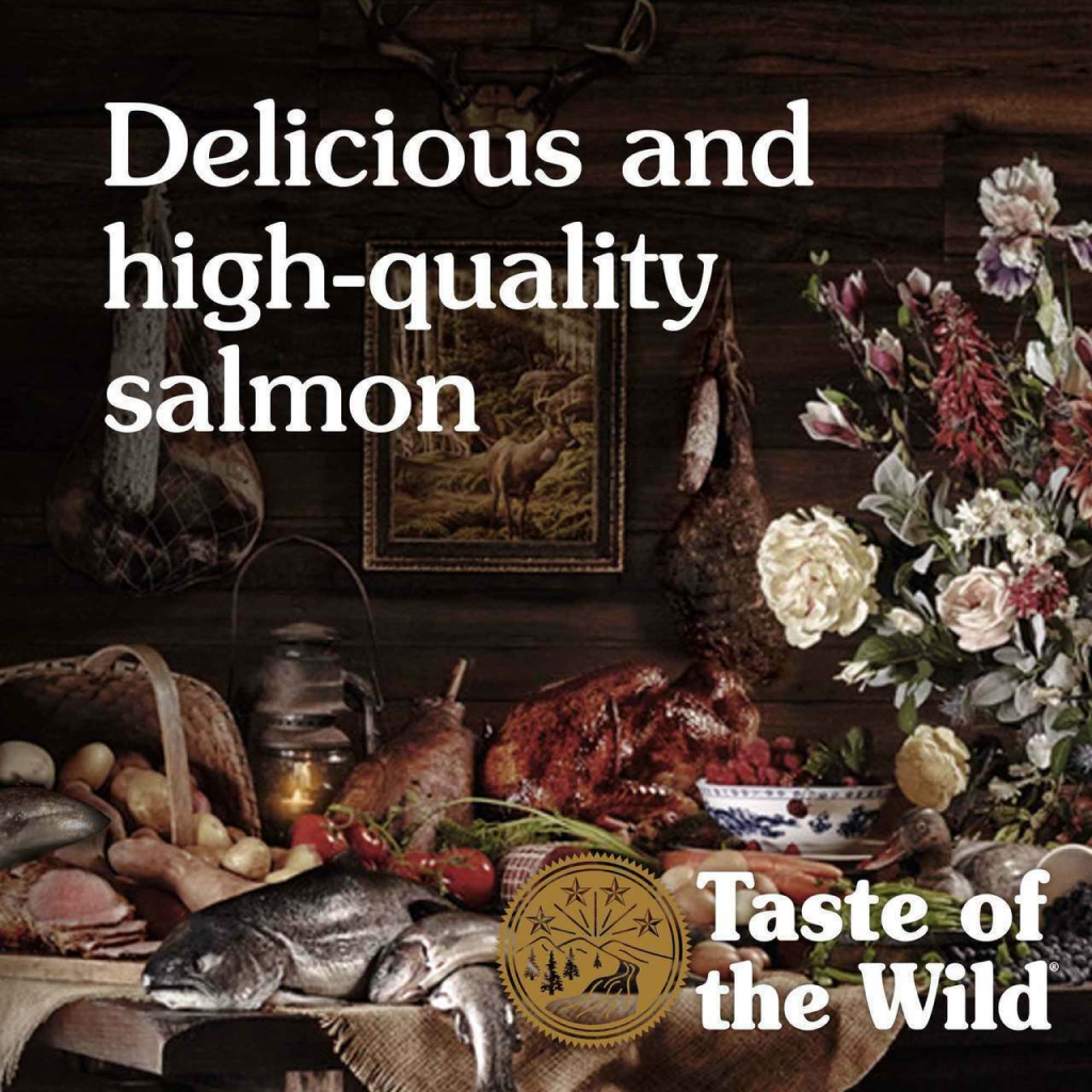 Taste Of The Wild Pacific Stream Canine Formula With Salmon In Gravy 13-oz Can Dog Food image number null