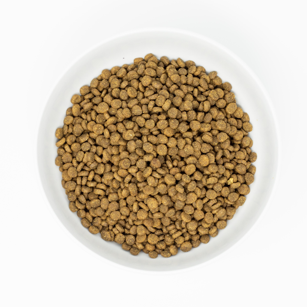 Stella & Chewy's Cat Raw Coated Kibble, Wild-Caught Salmon Recipe image number null