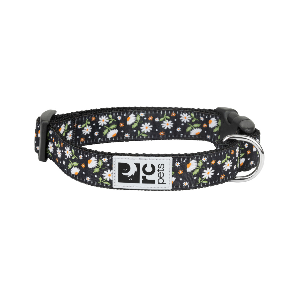 RC Pets 1" Dog Clip Collar Daisies, Medium image number null