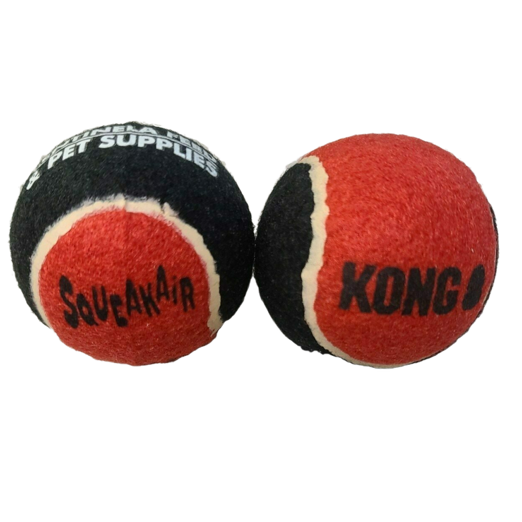 Kong Centinela Feed Squeaker Ball Medium image number null