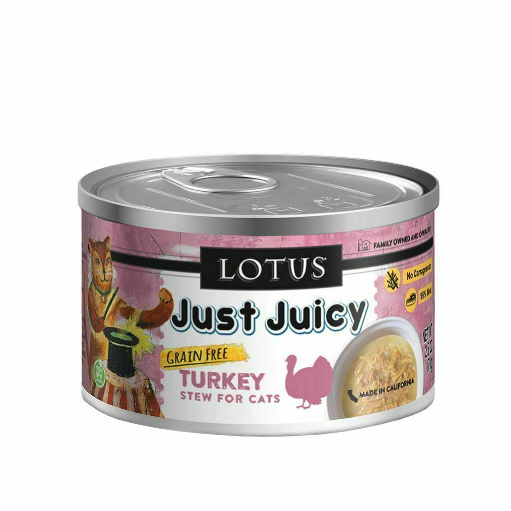 Just Juicy Turkey Stew image number null