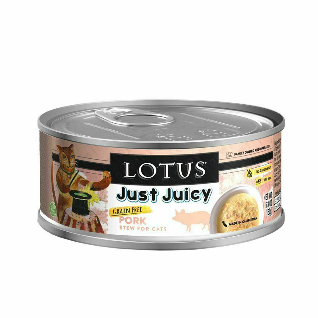 Just Juicy Pork Stew image number null