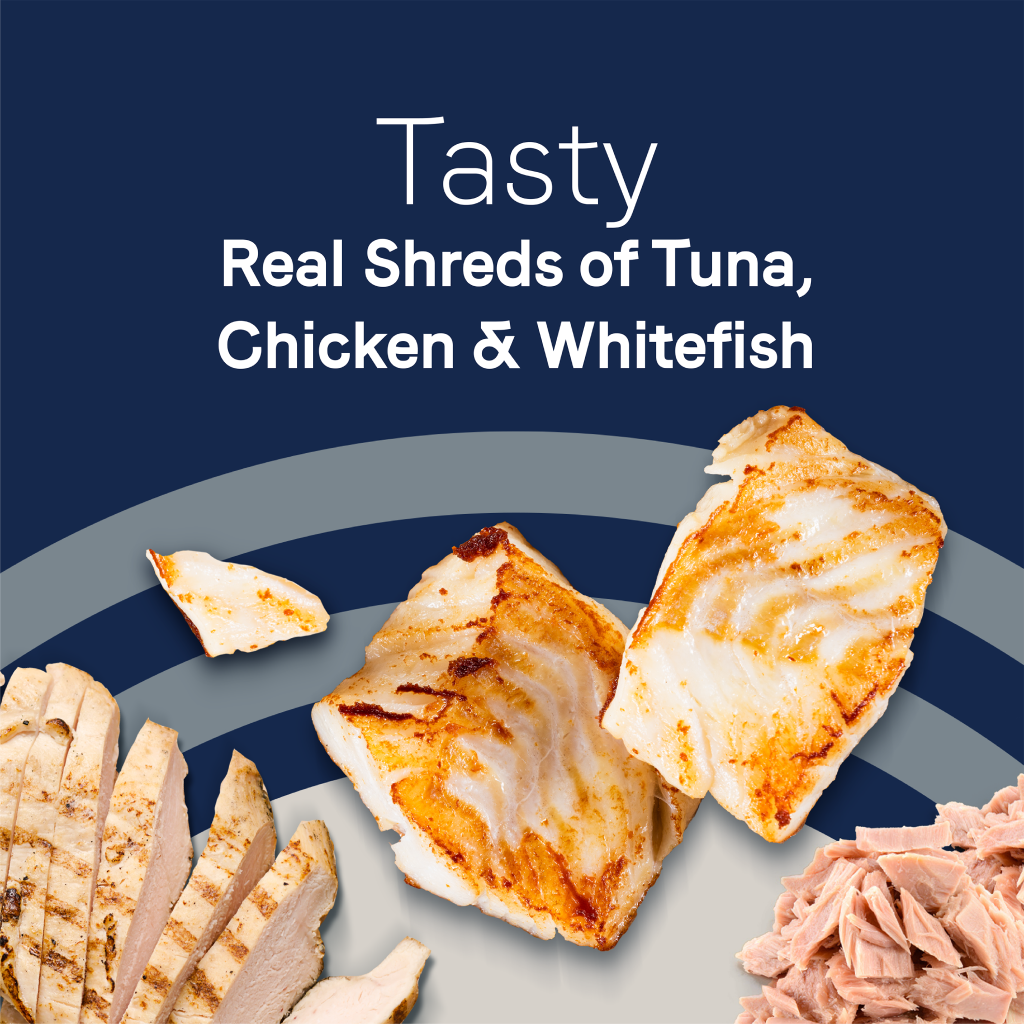 Canidae With Tuna, Chicken And Whitefish In Broth Cat Can image number null