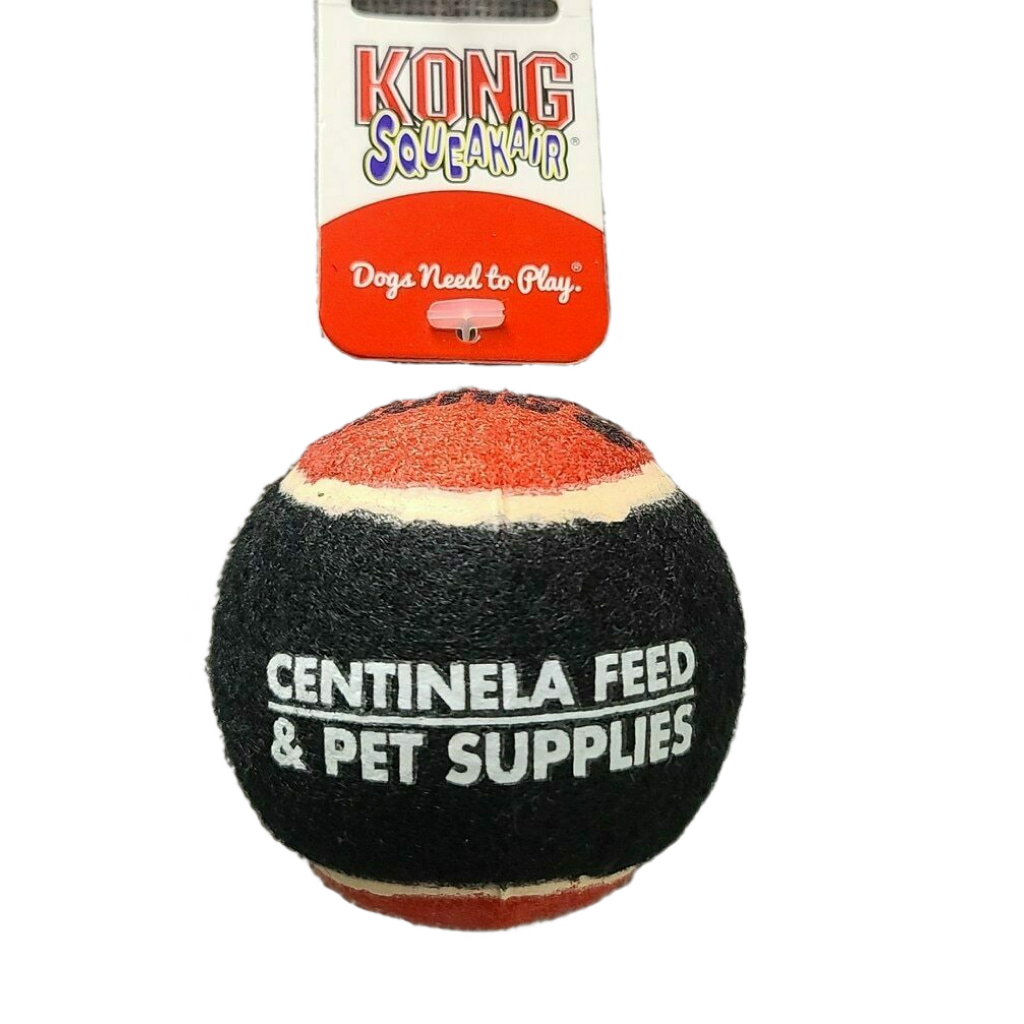 Kong Centinela Feed Squeaker Ball Medium image number null