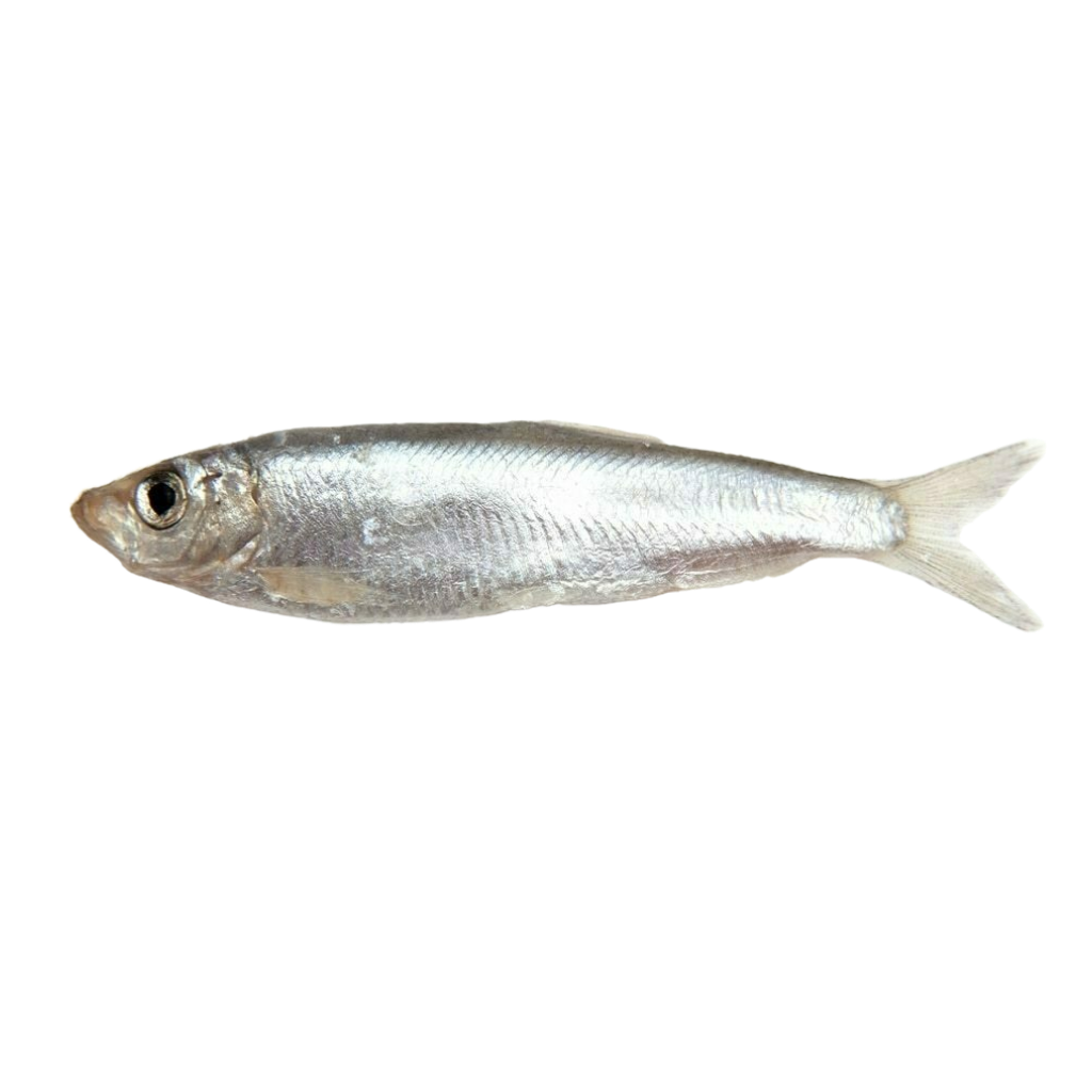 Baltic Sprat 3-oz image number null