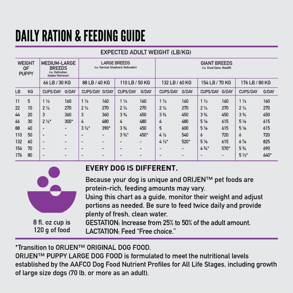 Large breed puppy nutritional needs hotsell