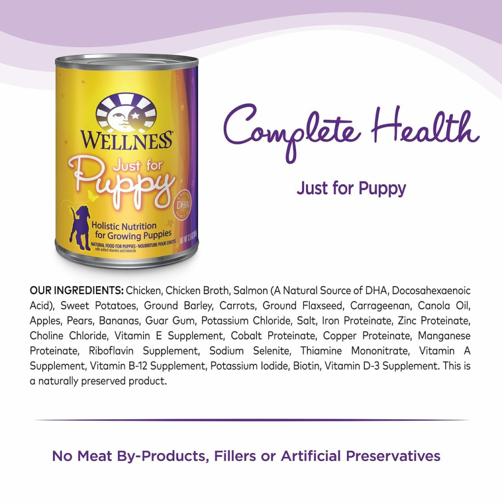 Wellness puppy food fashion wet