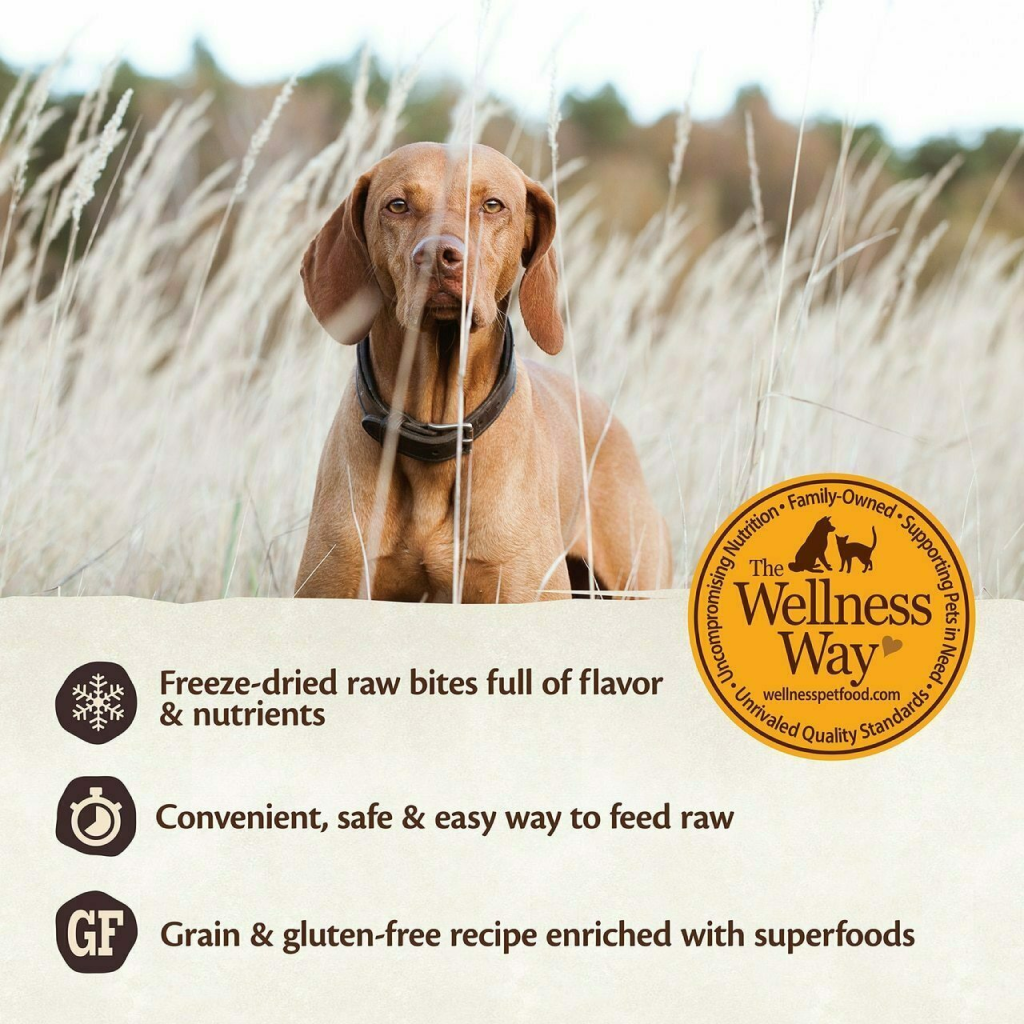 Wellness Core Rawrev Natural Grain Free Dry Dog Food, Original Turkey & Chicken With Freeze Dried Turkey image number null