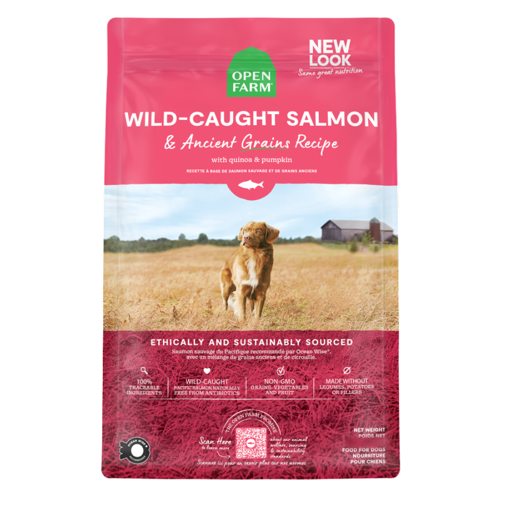 Open Farm Wild Salmon and Ancient Grains Dog Food, 22-lb image number null