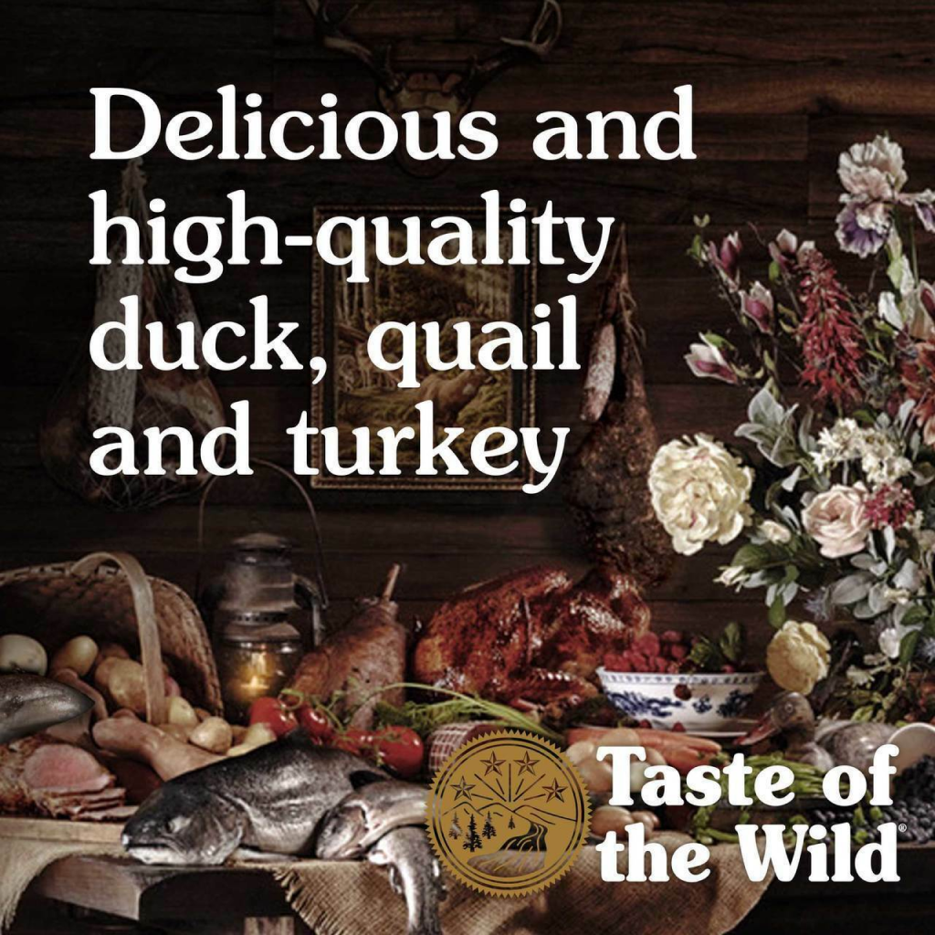 Taste Of The Wild  Wetlands Canine Formula With Fowl In Gravy 13-oz Can Dog Food image number null