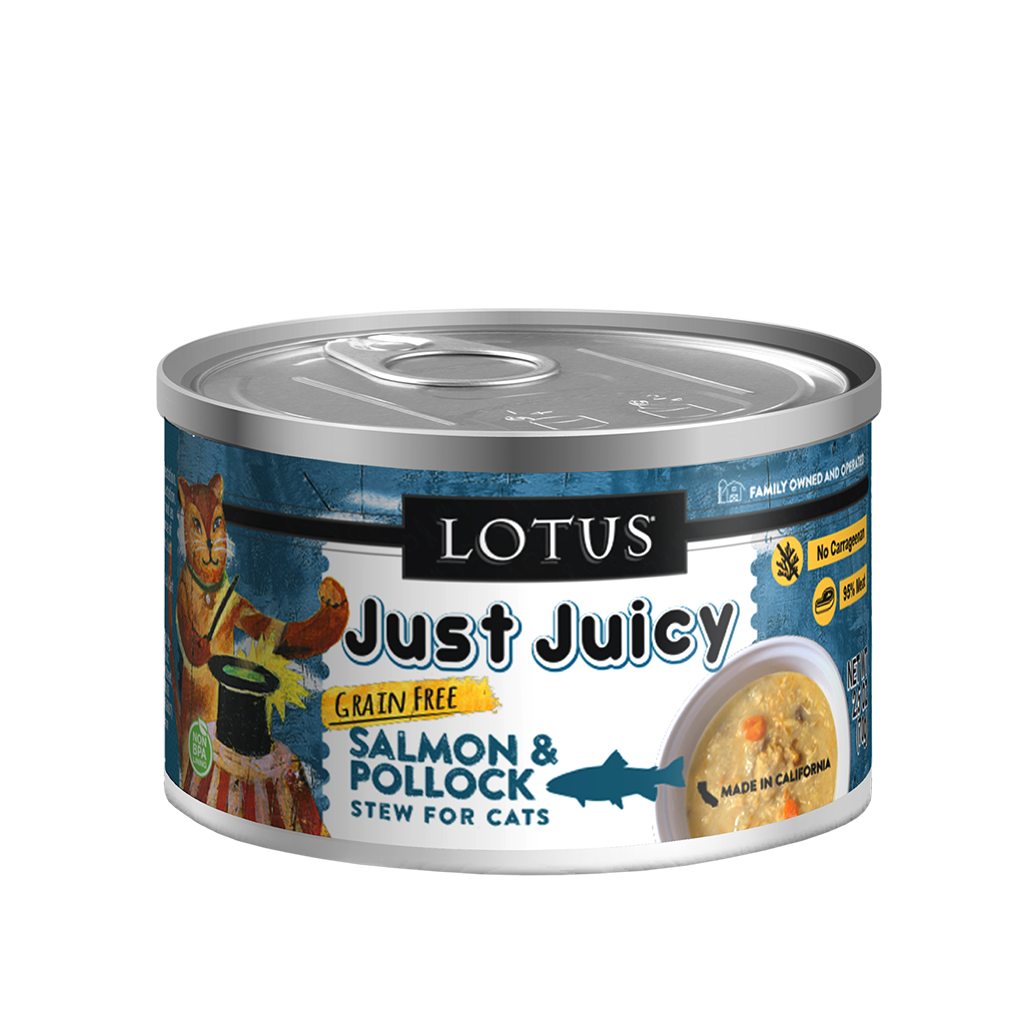 Just Juicy Salmon Pollock Stew image number null