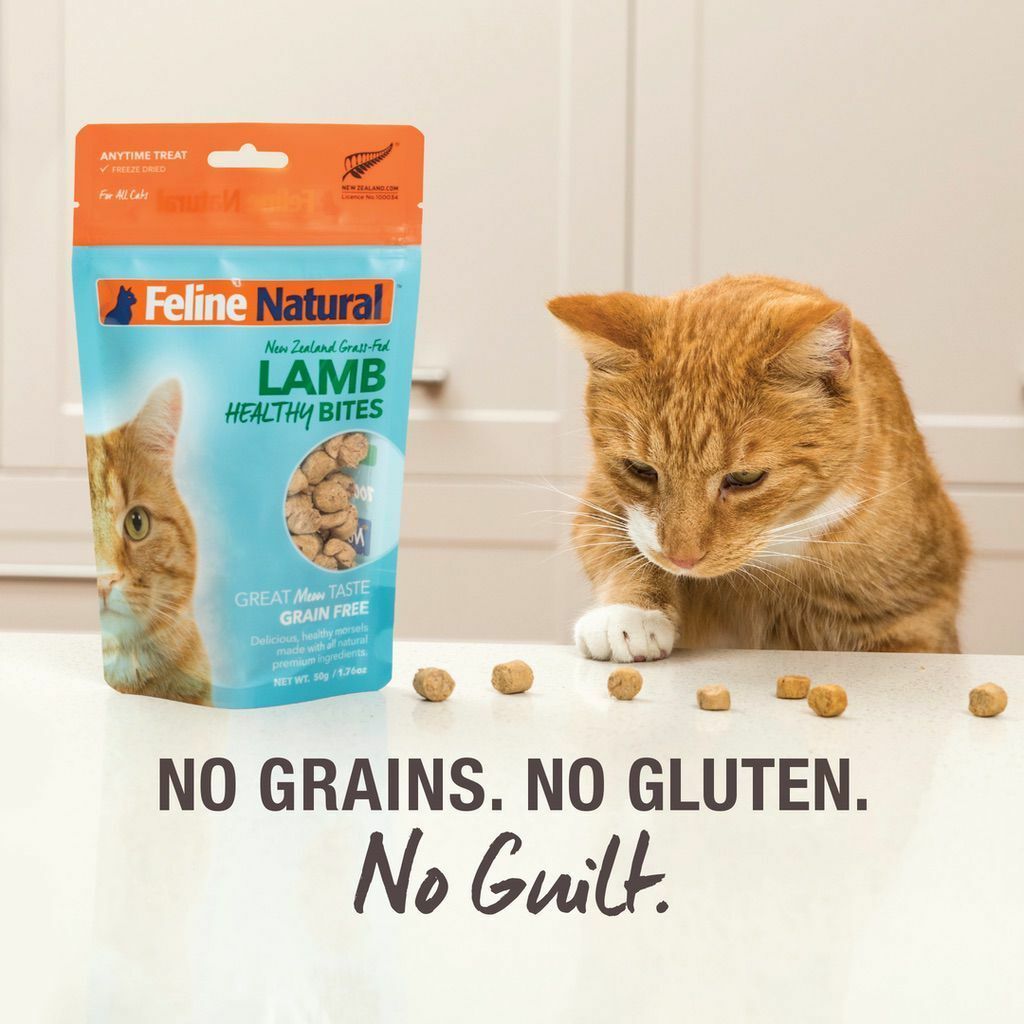 Feline Natural Chicken Healthy Bites Freeze Dried Cat Treat image number null