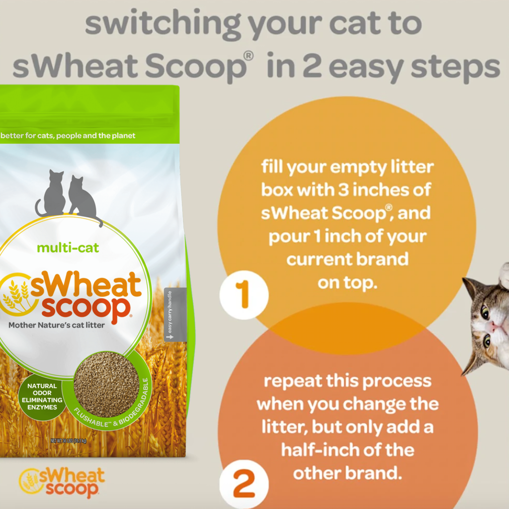 Buy Swheat Scoop Multi Cat 36 lb Bag for USD 40.99 CentinelaFeed