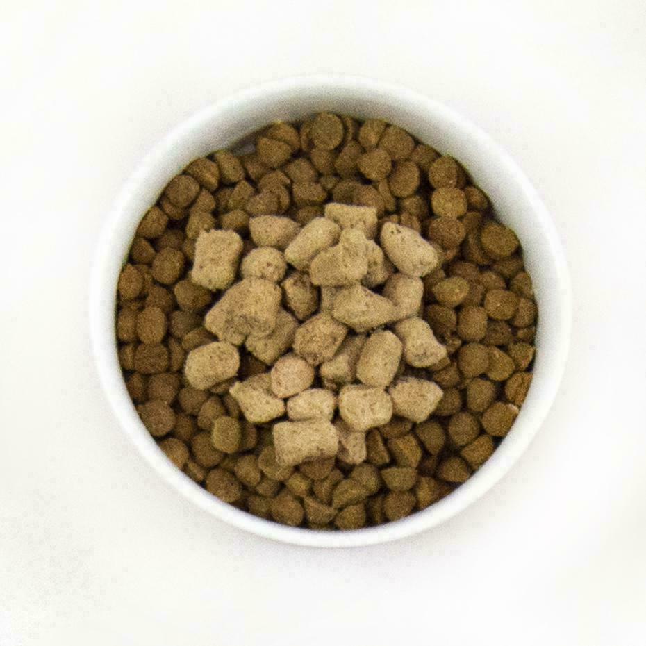 Stella & Chewy's Dog Raw Coated Kibble With Wholesome Grains, Grass-Fed Beef image number null