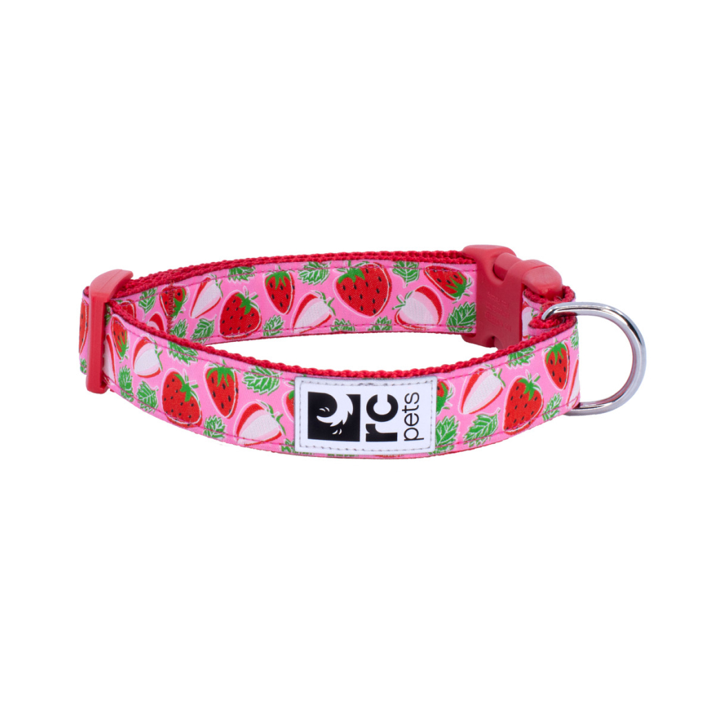 RC Pets 1" Dog Clip Collar Strawberries, Medium image number null