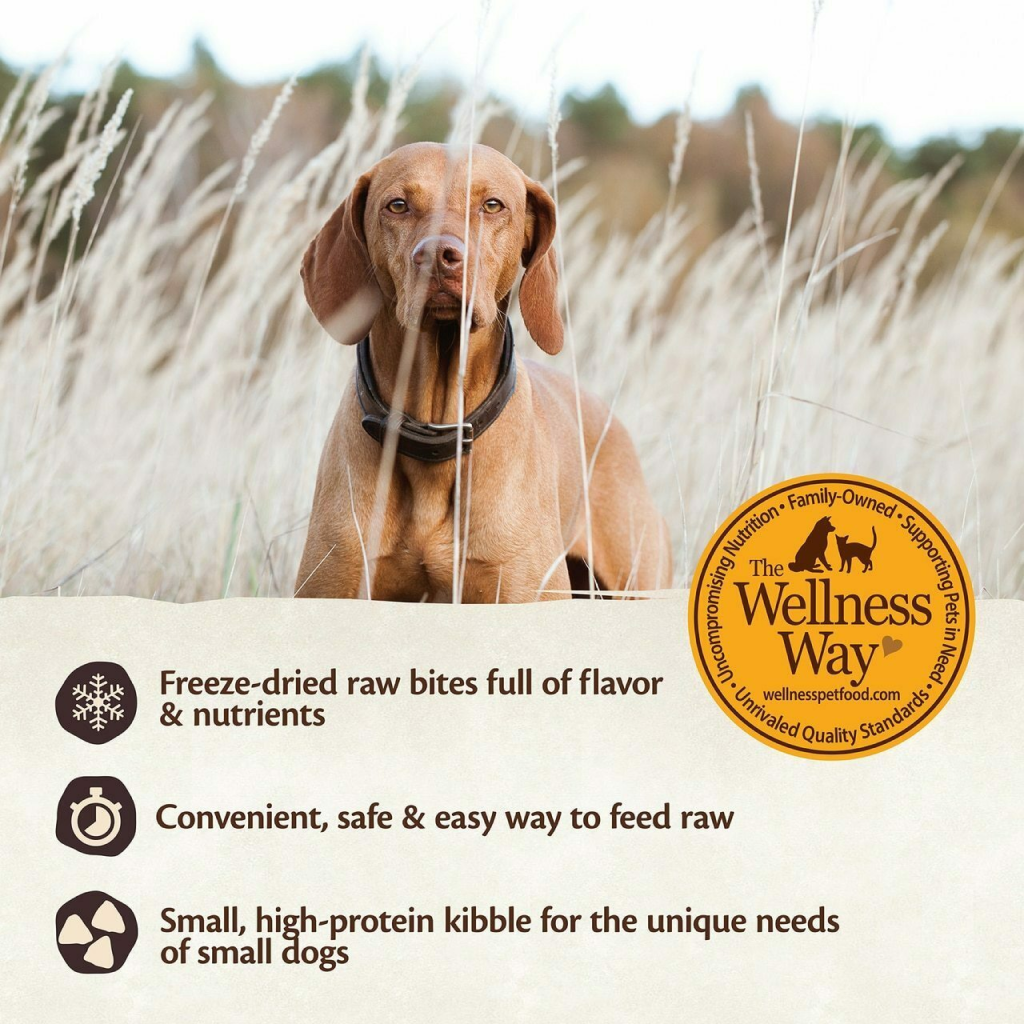 Wellness core rawrev natural small breed grain free original top turkey chicken with freeze dried turkey dry dog food