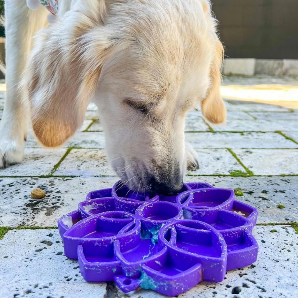 Soda Pup Mandala Enrichment Shallow Slow Feeding Tray, Purple image number null