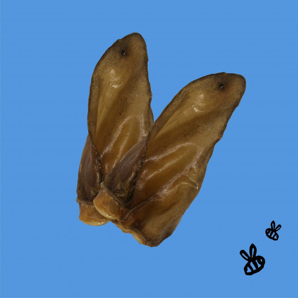 Natural Honey Coated Buffalo Chews, Crunchy Ears 1-piece image number null